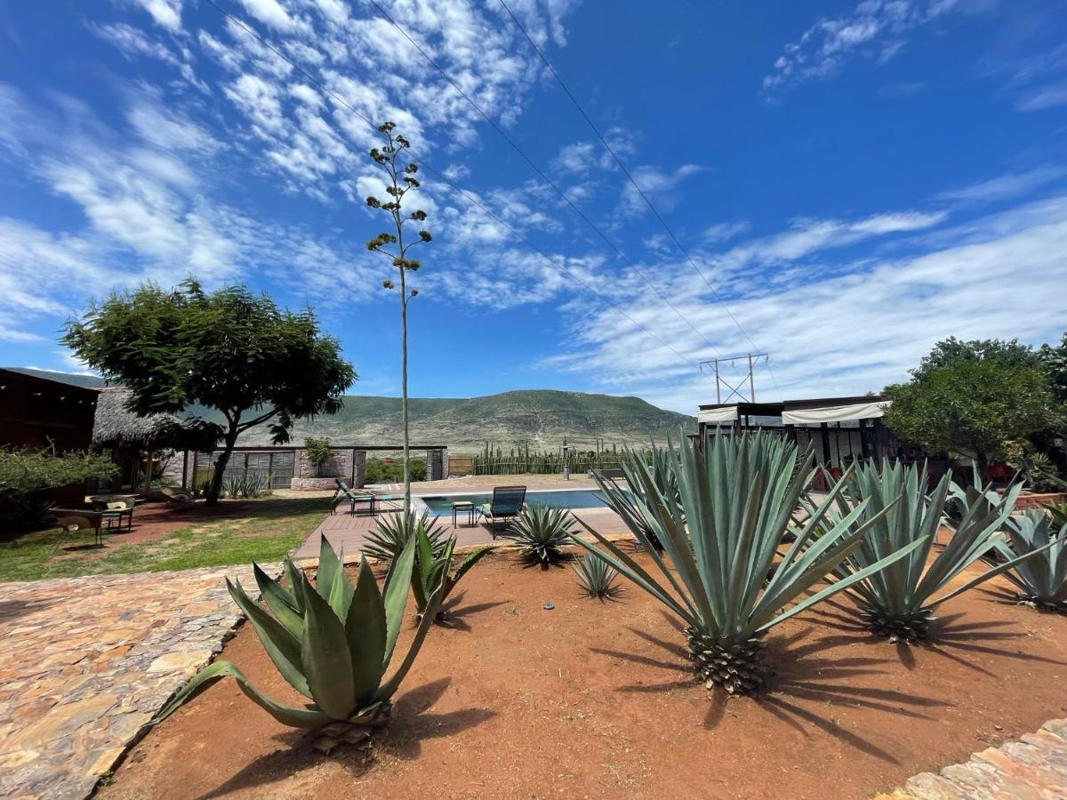 Casa Regina Oaxaca Villa San Pablo Villa de Mitla Exteriör bild