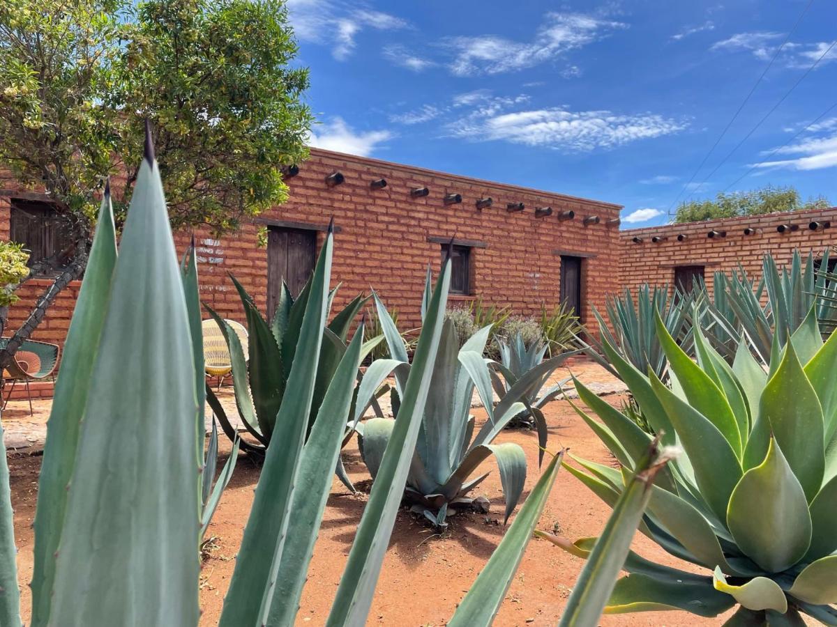 Casa Regina Oaxaca Villa San Pablo Villa de Mitla Exteriör bild