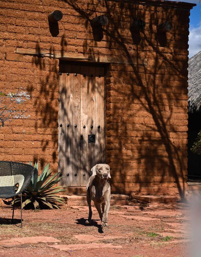 Casa Regina Oaxaca Villa San Pablo Villa de Mitla Exteriör bild