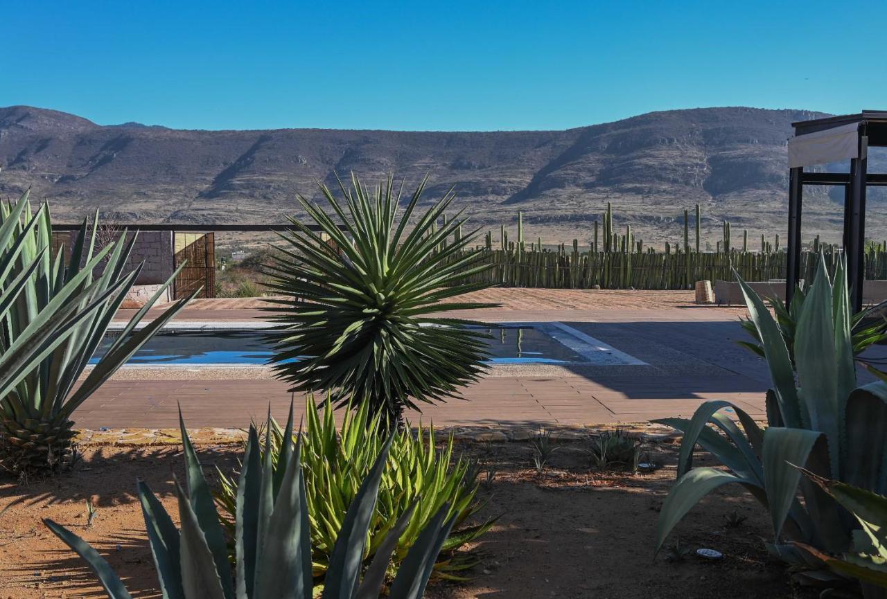 Casa Regina Oaxaca Villa San Pablo Villa de Mitla Exteriör bild