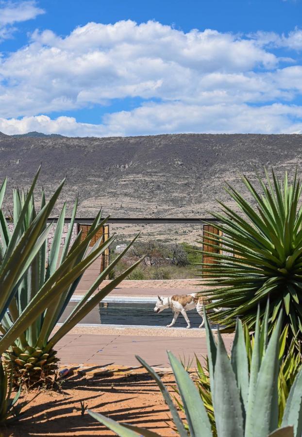 Casa Regina Oaxaca Villa San Pablo Villa de Mitla Exteriör bild