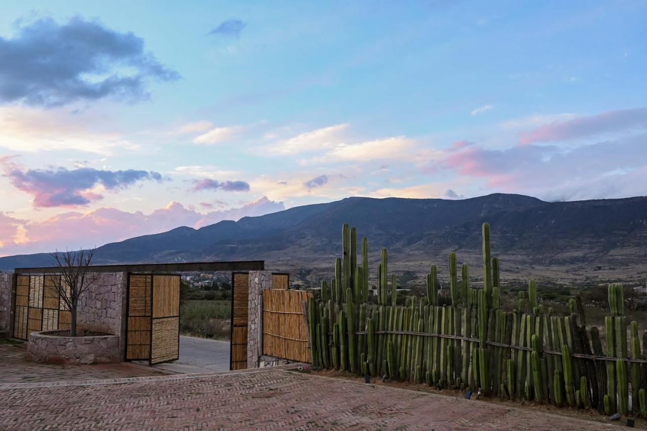 Casa Regina Oaxaca Villa San Pablo Villa de Mitla Exteriör bild